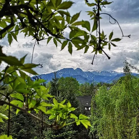 Mountain View Apartment Закопане Екстер'єр фото