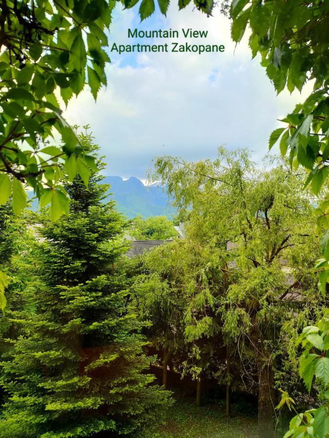 Mountain View Закопане